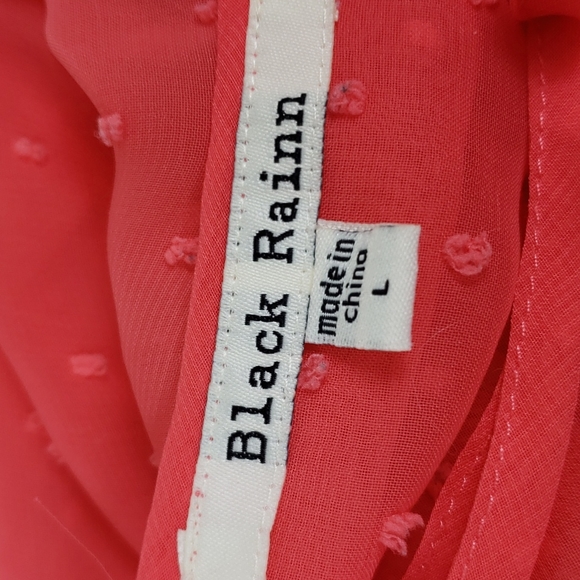 Black Rainn coral swiss dot sheer high low hemline blouse Size Large - Picture 4 of 4